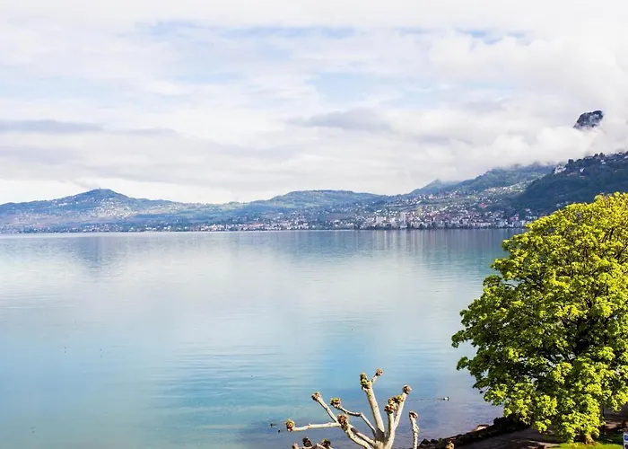 酒店 都港酒店 维伦纽夫